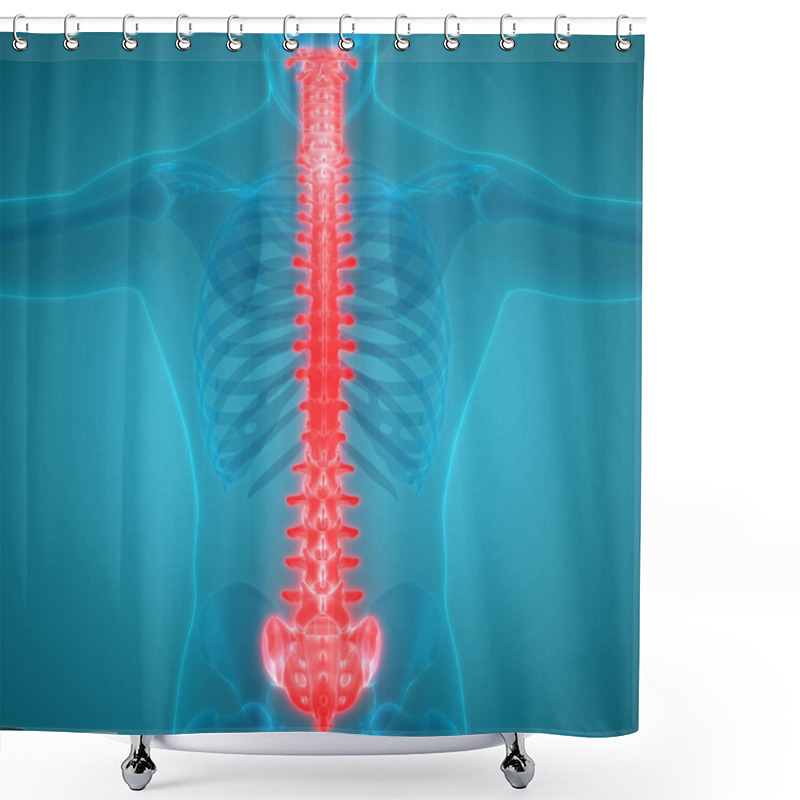 Personality  Vertebral Column Of Human Skeleton System Anatomy. 3D Shower Curtains