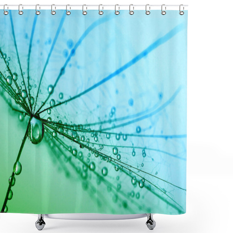 Personality   Dandelion Seeds  Shower Curtains