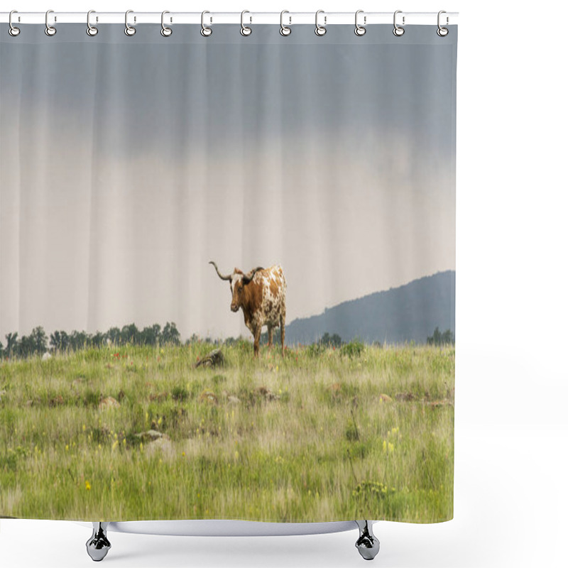 Personality  Texas Longhorn  Shower Curtains