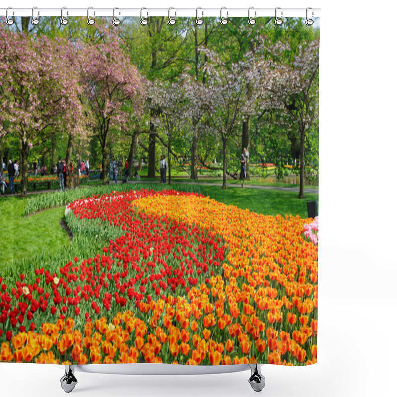 Personality  Red And Orange Tulips In Keukenhof Park In Holland Shower Curtains