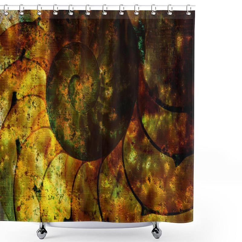 Personality  Grungy Nautilus Shower Curtains