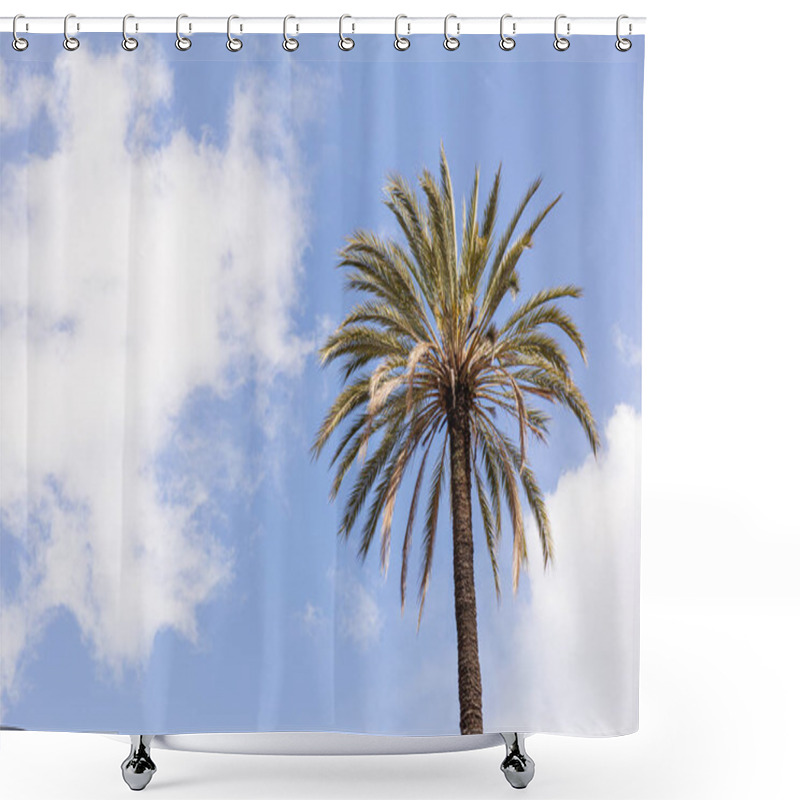 Personality  Palm Tree Under Blue Sky With Clouds In Rome, Italy Shower Curtains