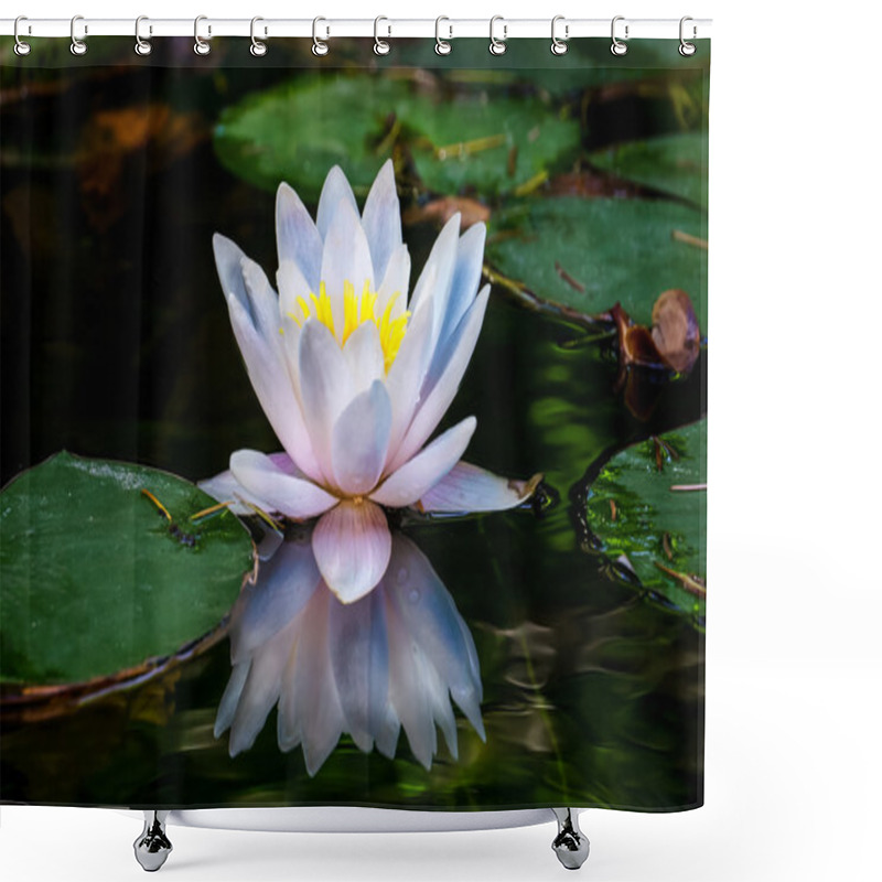 Personality  Pastel Water Lily Reflection Shower Curtains