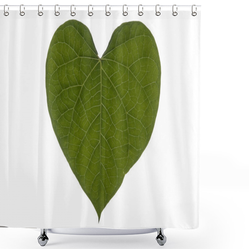 Personality  Heart Leaf Full Frame Landscape Shower Curtains