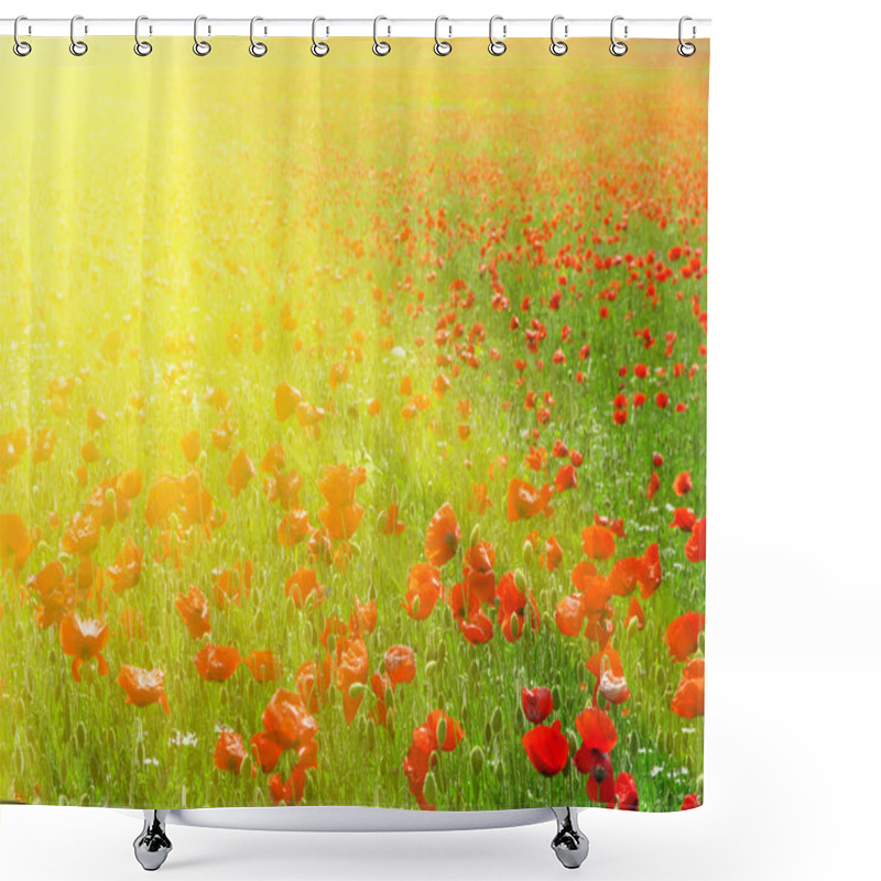 Personality  Big Red Meadow Shower Curtains