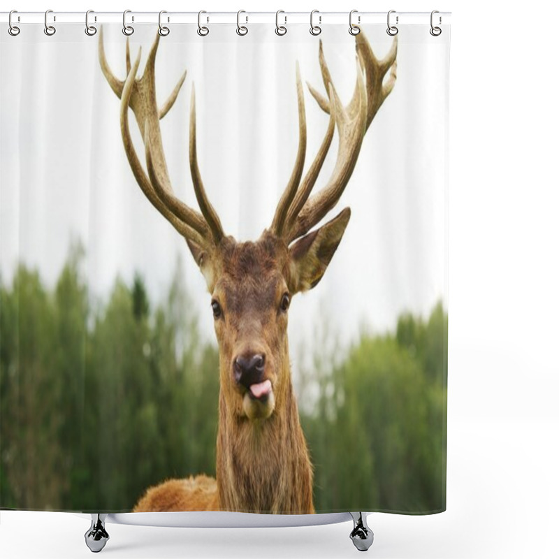 Personality  Deer Shower Curtains