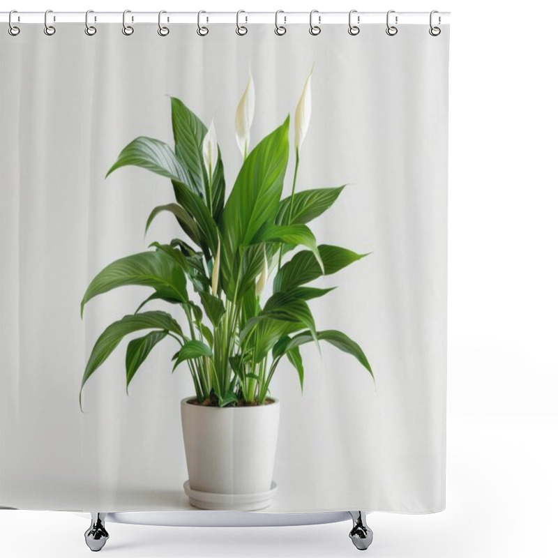 Personality  A Beautiful Peace Lily Plant With Lush Green Leaves And Elegant White Flowers, Adding A Touch Of Nature To Any Space. Shower Curtains