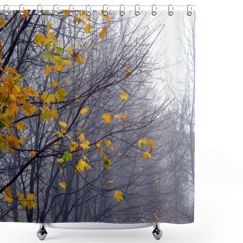 Personality  Last Maple Leaves In The Fog Shower Curtains