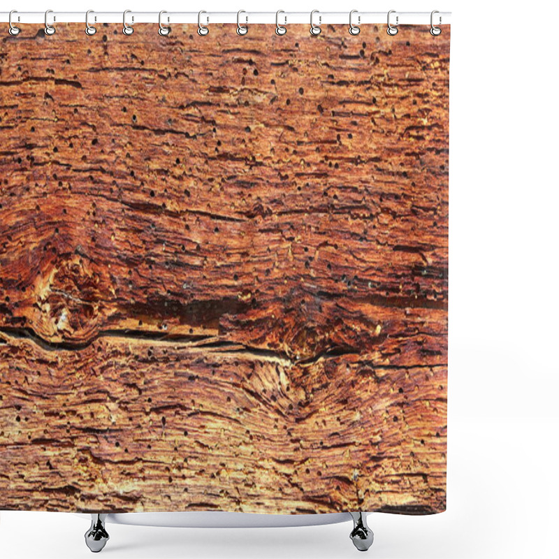 Personality  Spruce Wood In Decay Shower Curtains