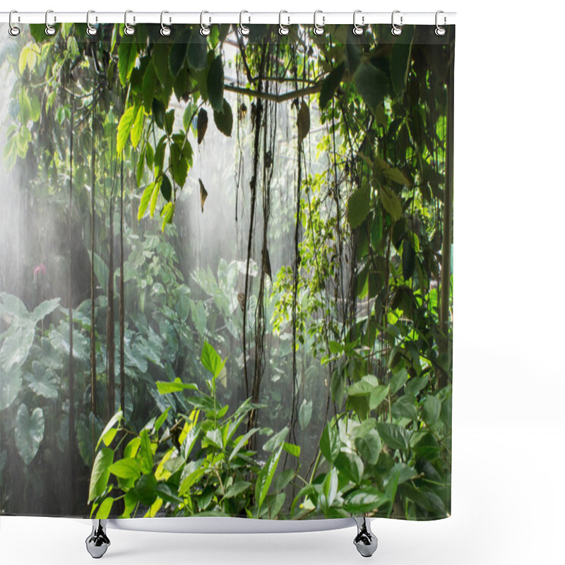 Personality  Rainforest Shower Curtains