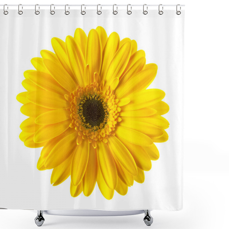 Personality  Yellow Daisy Flower Isolated Shower Curtains