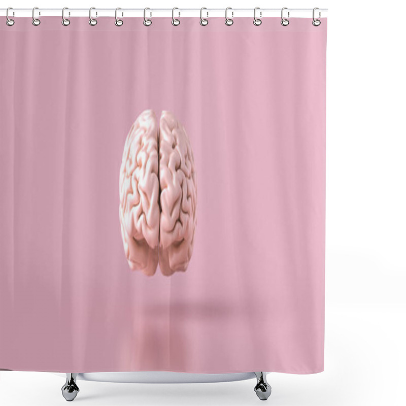 Personality  Human Brain Anatomical Model, Front View Shower Curtains