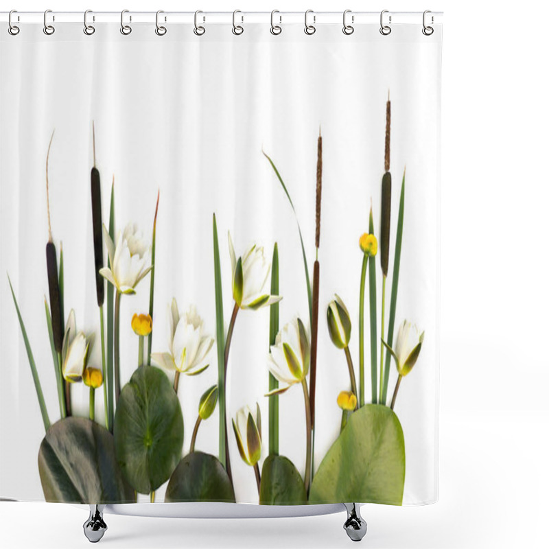 Personality  Aquatic Plants Which Grows In Wetlands: Bulrush (Typha, Or Reedmace, Cattail,  Cumbungi), Water Lilies (Nymphaea Candida), Yellow Lilies On A White Background With Space For Text. Top View, Flat Lay Shower Curtains