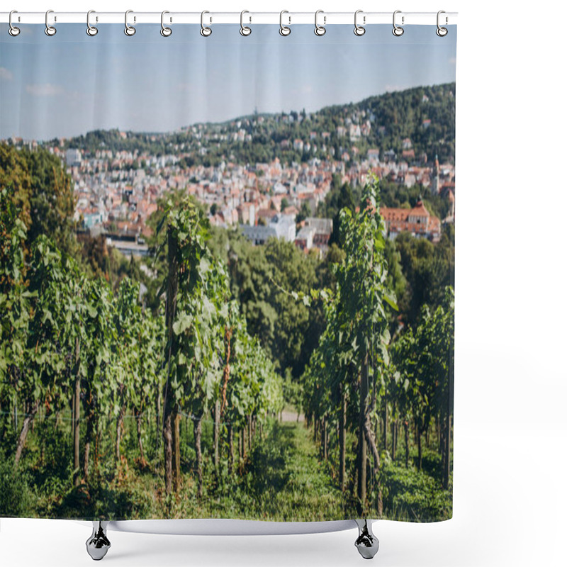 Personality  Plantations Shower Curtains