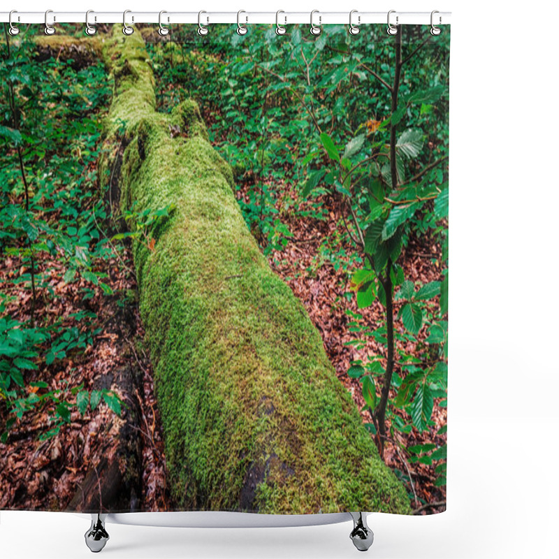 Personality  Mighty Mountain On The Lake Shower Curtains