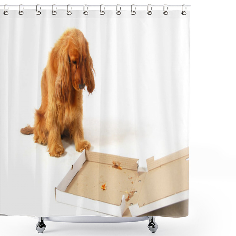 Personality  Disappointed Puppy Shower Curtains