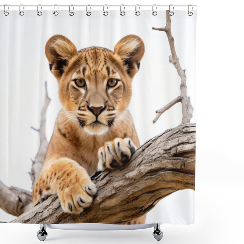 Personality  A Close-up Of A Majestic Lion Cub Resting On A Tree Branch, Showcasing Its Expressive Eyes And Unique Fur Patterns. Shower Curtains