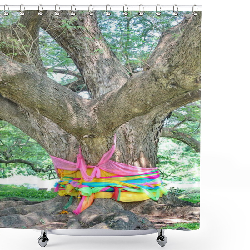 Personality  A Large Tree, 100 Years Old Or Jamjuree In Kanchanaburi, Thailand, Open To Tourists. Shower Curtains