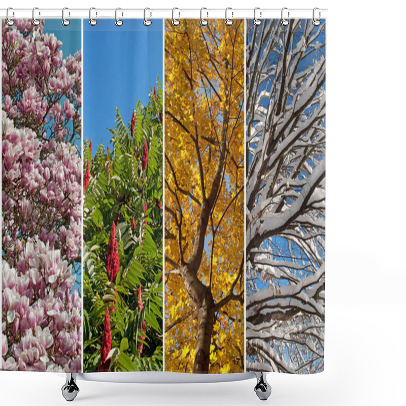 Personality  Four Seasons In A Collage Shower Curtains