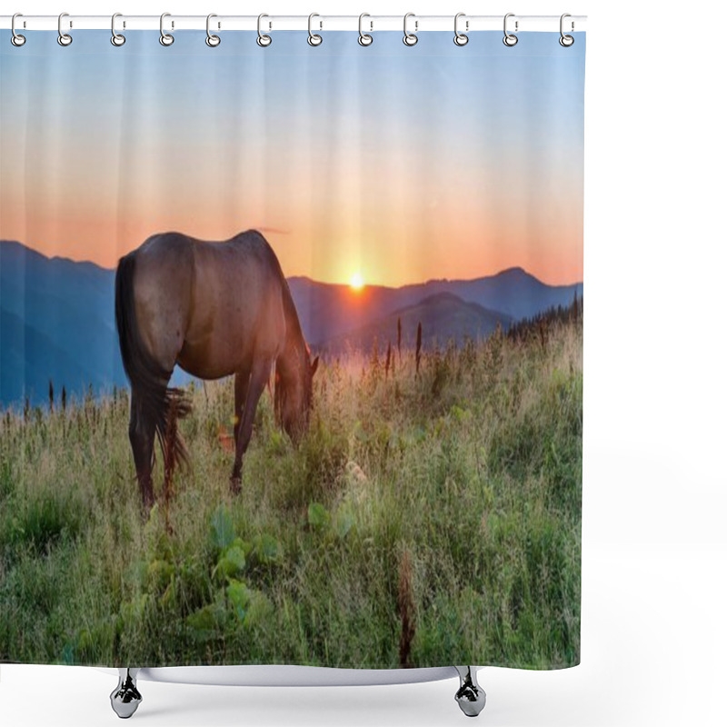 Personality  Brown Horse Grazing  Shower Curtains