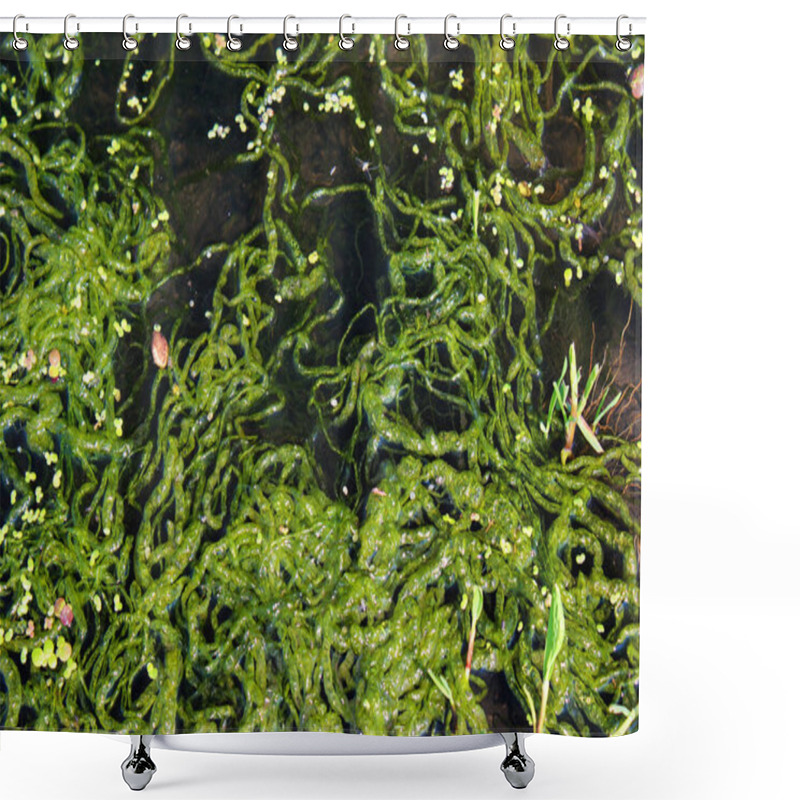 Personality  Gutweed (Ulva Intestinalis) In A River  Shower Curtains