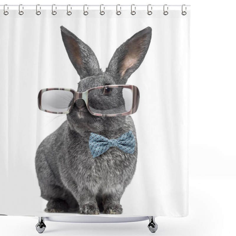 Personality  Argente Rabbit Wearing Glasses And Bow Tie Isolated On White Shower Curtains