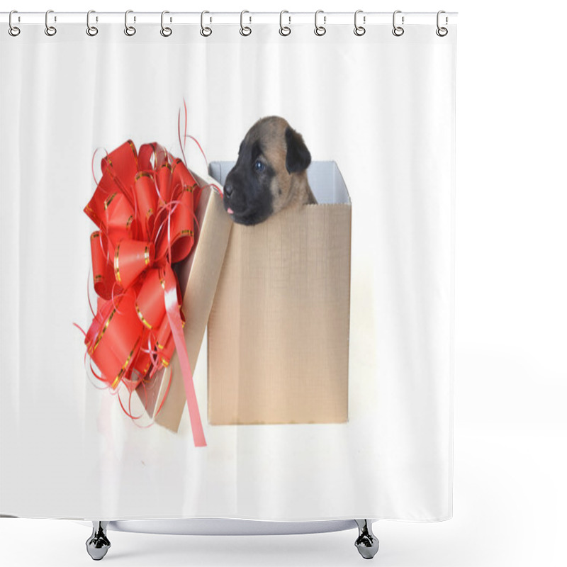 Personality  Puppy In Gift Box Shower Curtains