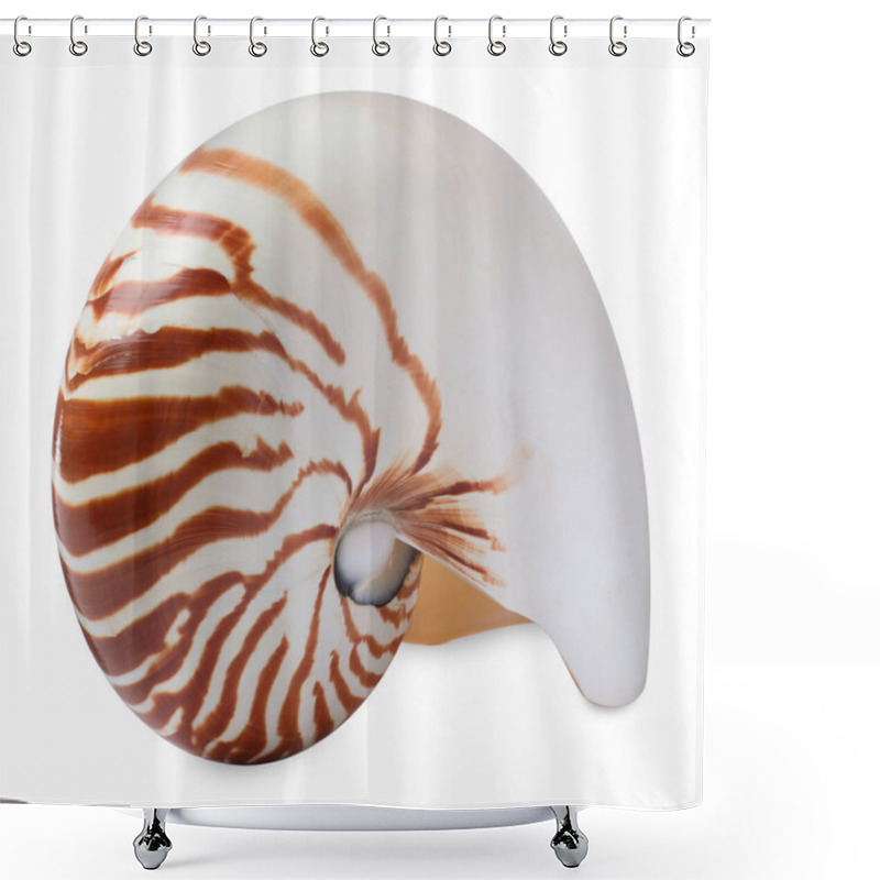 Personality  One Beautiful Nautilus Shell Isolated On White Shower Curtains