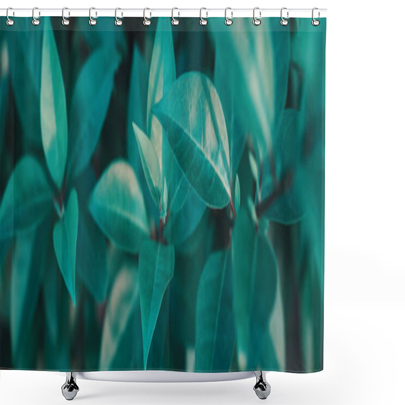 Personality  Natural Floral Monochrome Background. Beautyful Blue Toned  Leav Shower Curtains