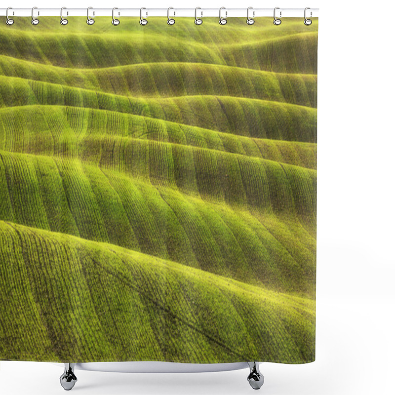 Personality  Field And Tracks Texture Abstract In Winter. Tuscany, Italy Shower Curtains