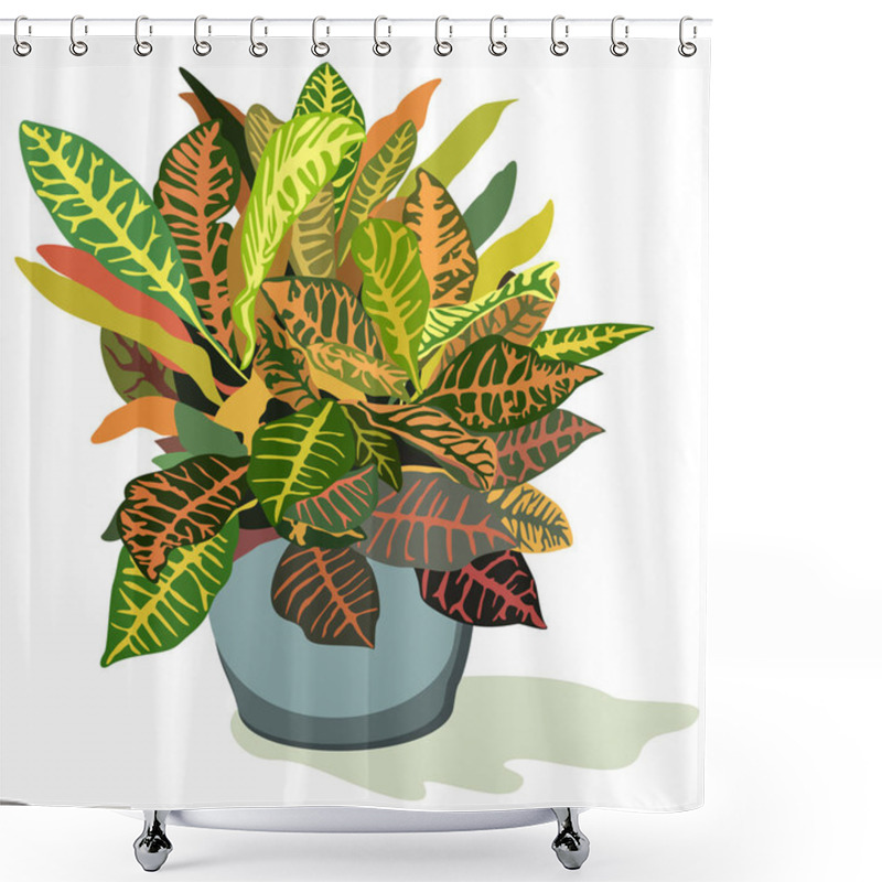 Personality  Vector Illustration Of Home Plant With Beautiful Decorative Leaves, Croton, In Blue Pot. Isolated On White Background. Shower Curtains