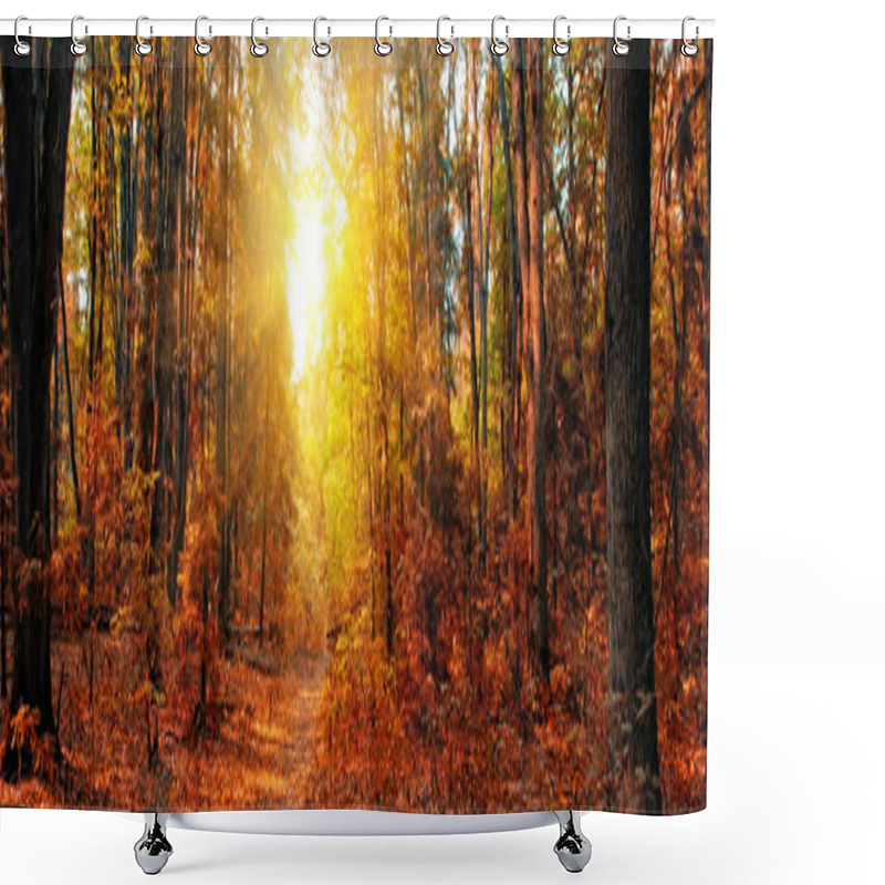 Personality  Autumn Forest Panorama Shower Curtains