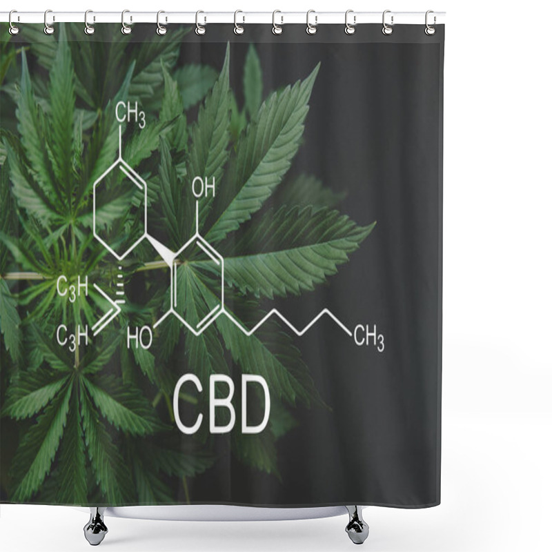 Personality  CBD Formula Cannabidiol. Hemp Industry, Growing Marijuana, Despancery Business. Cannabinoids And Health, Medical Marijuana, CBD And THC Elements In Cannabis, Shower Curtains