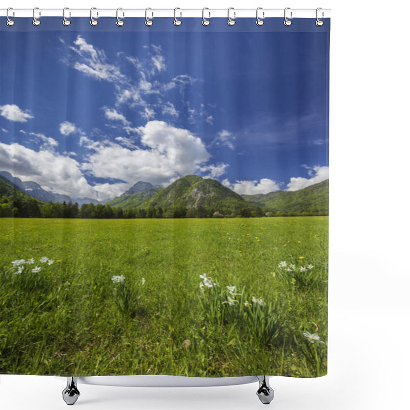 Personality  Spring Flower In Triglavski National Park, Slovenia Shower Curtains