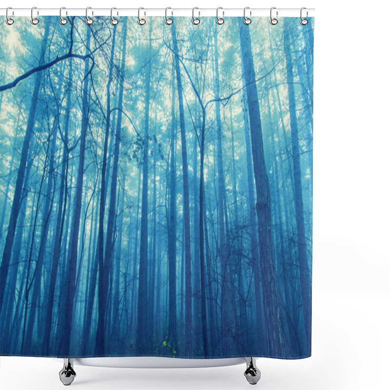 Personality  Misty Forest In The Morning  Shower Curtains