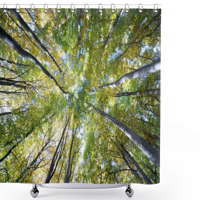 Personality  Beech Forest Shower Curtains