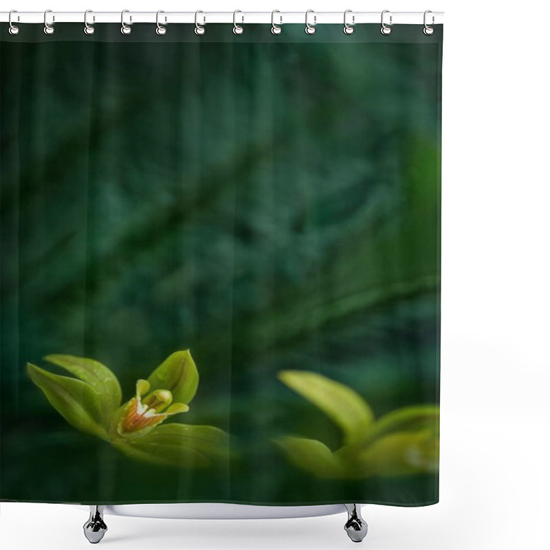 Personality  Beautiful Orchid Flower Grow In Tropical Garden With Natural Background, Wallpaper Natural Closeup Macro, Postcard Beauty And Agriculture Idea Concept Floral Design, Beautiful Flower Bloom Shower Curtains