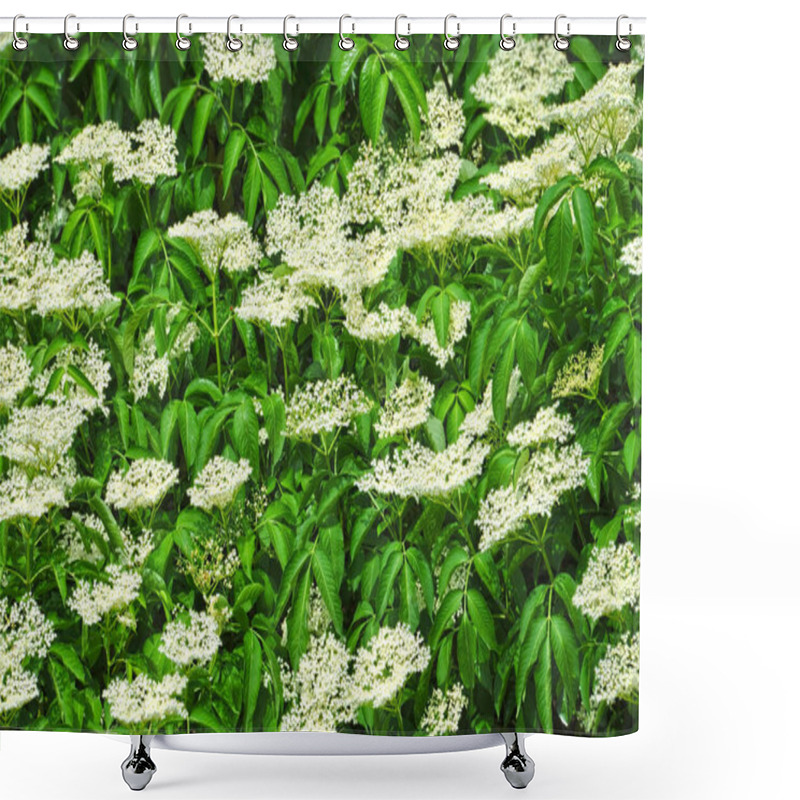 Personality  White Elderberry Blossom On Natural Green Background Shower Curtains