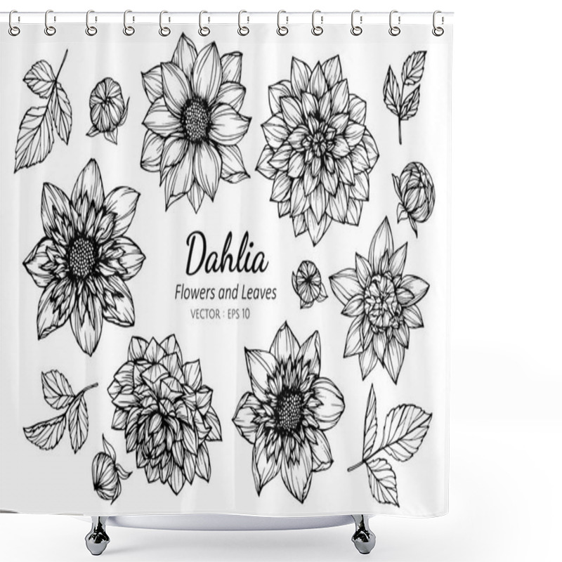 Personality  Collection Set Of Dahlia Flower And Leaves Drawing Illustration. Shower Curtains