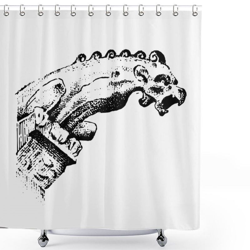 Personality  Gargoyle Chimera Of Notre-Dame De Paris, Engraved, Hand Drawn Vector Illustration With Gothic Guardians Include Architectual Elements, Vintage Statue Medieval Shower Curtains