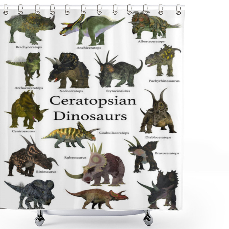 Personality  A Collection Set Of Ceratops Beaked Dinosaurs From The Cretaceous Period Of The World's History Of Animals. Shower Curtains