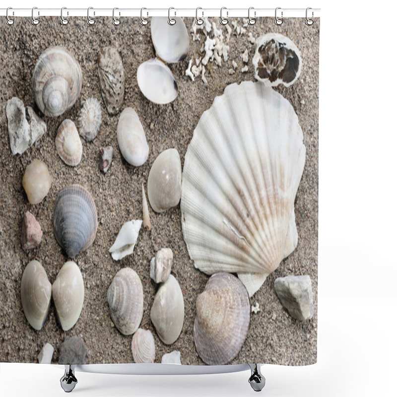 Personality  Shells Shower Curtains