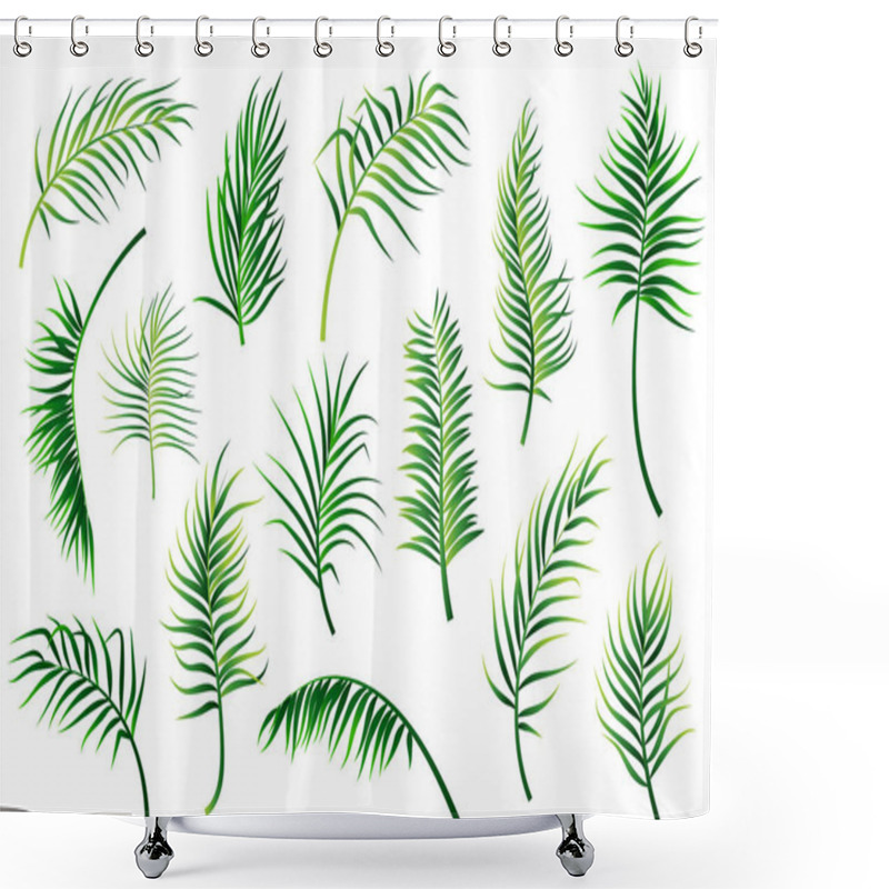 Personality  Palm Leaves Set Isolated On White Background. Vector Illustration Shower Curtains