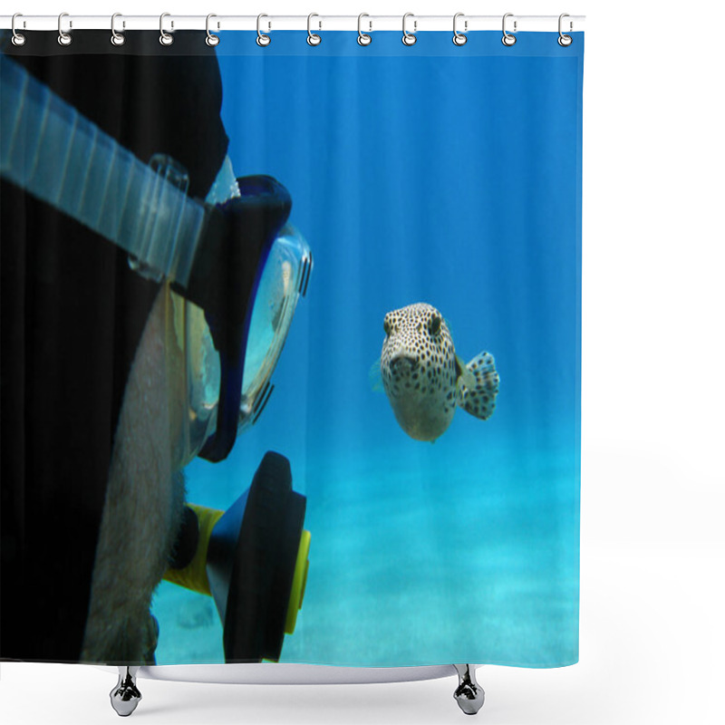 Personality  Scuba Diver And Pufferfish On The Bottom Of Red Sea Shower Curtains