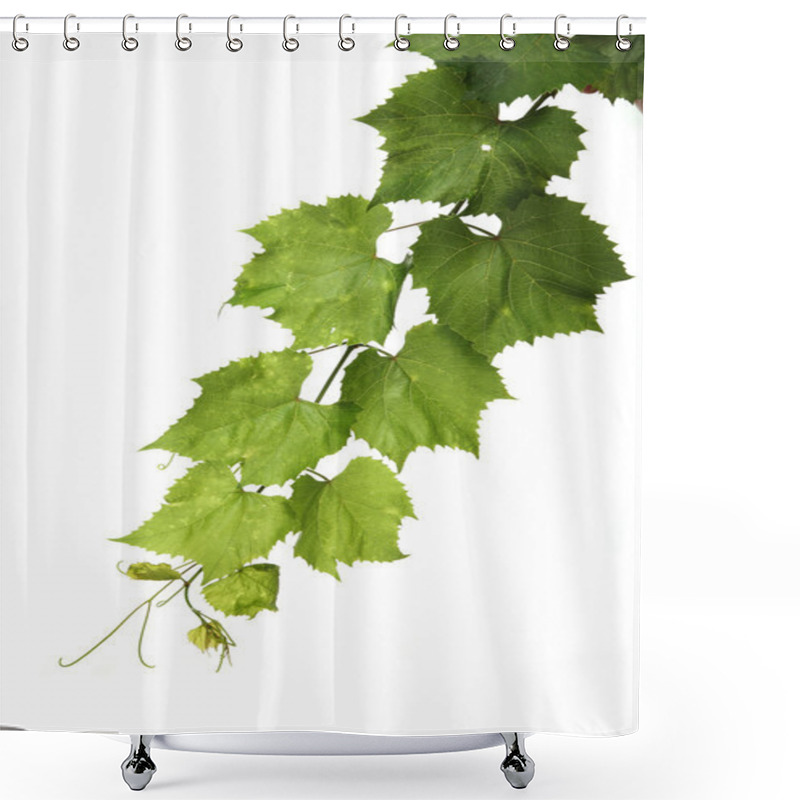 Personality  Green Grape Leaves Shower Curtains