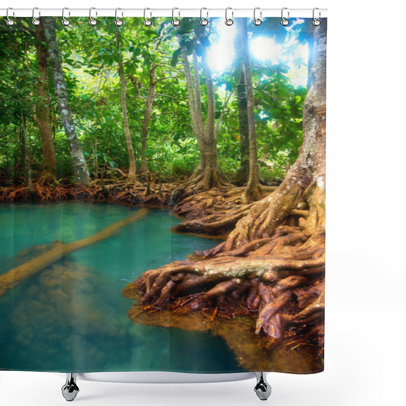 Personality  Mangrove Forest Shower Curtains