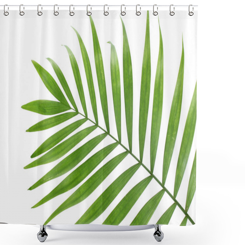 Personality  Beautiful Green Palm Leaf Isolated On White Shower Curtains