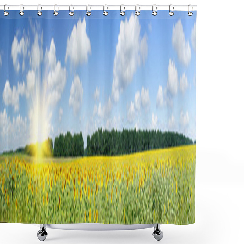 Personality  Plantation Of Golden Sunflowers. Shower Curtains