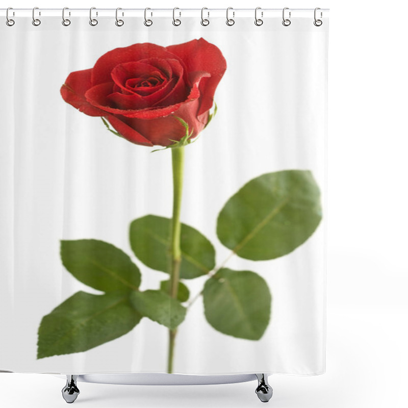 Personality  Beautiful Red Rose Shower Curtains