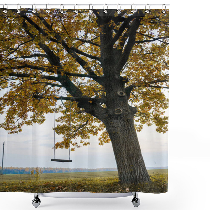 Personality  Swing Hanging On Tree Shower Curtains